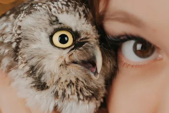 Efbet Casino Támogatás